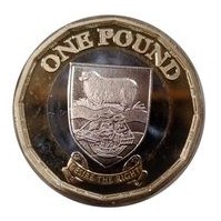 Falkland Island 1 Pound 2023 UNC