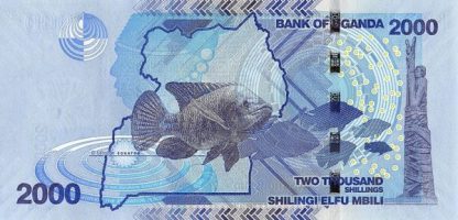 2000 Shilling 2017 UNC
